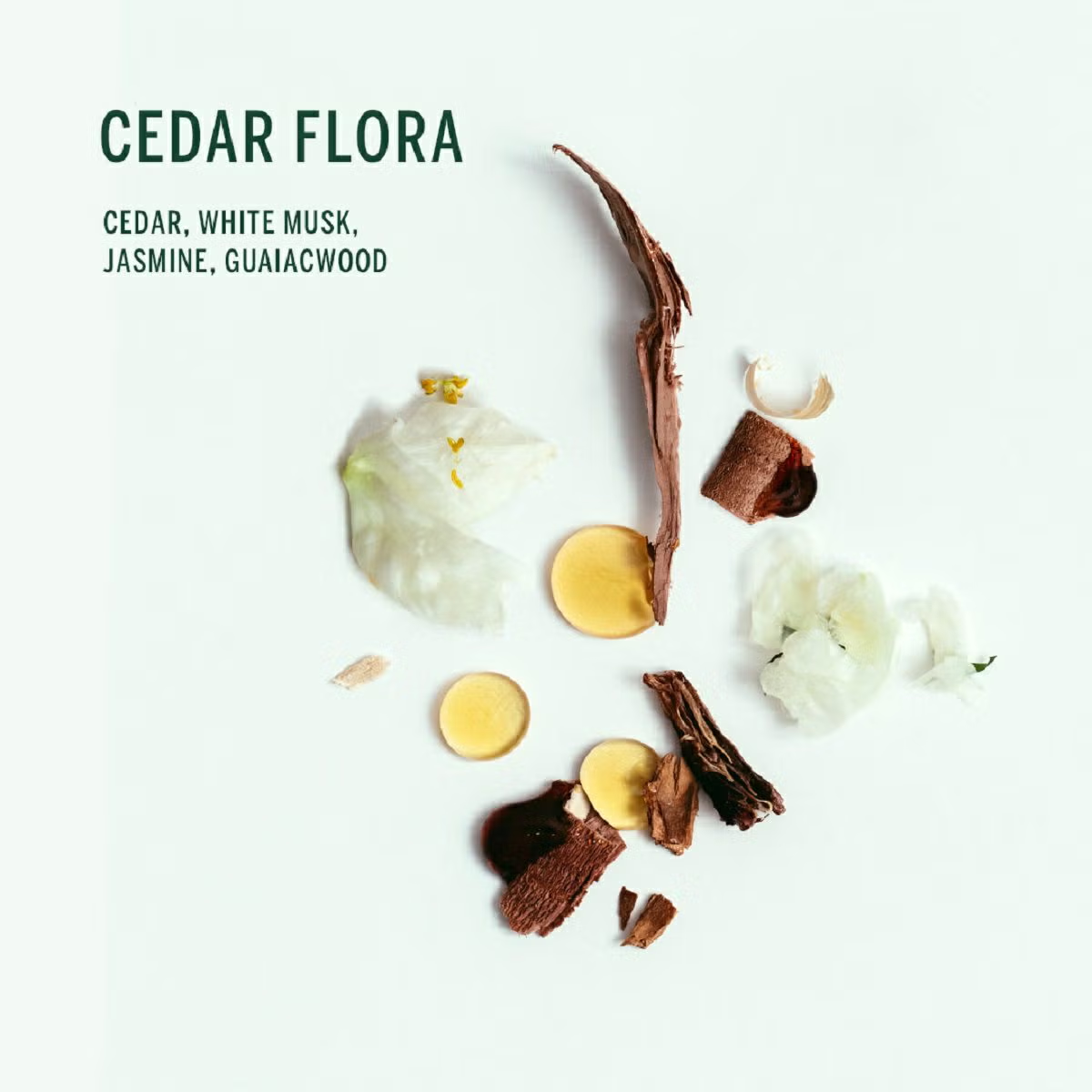 CORPUS BODY REFRESHER CEDAR